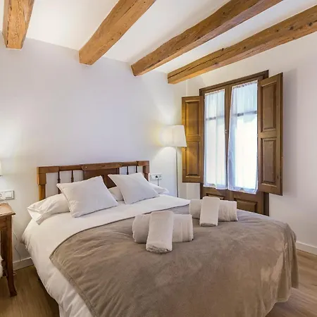 Cal Rellotger De Apartment *